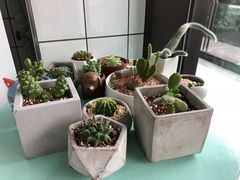 -蜜蜂小象·榴莲千层蛋糕(时代汇11栋店)