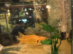 -JACK’S  PLACE 杰克地方(上海路店)