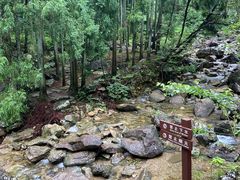 -雁荡山大龙湫景区