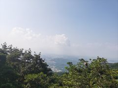 -梧桐山风景名胜区