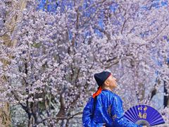 -圆明园遗址公园-藻园门售票处