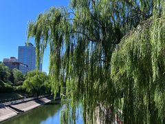 -北京广安门维景国际大酒店