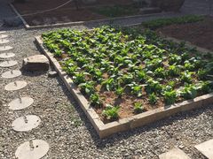 -柞水乾佑红门家菜