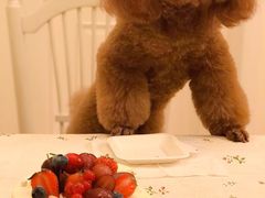 -美丽心情蛋糕(江苏路店)