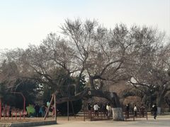 -北陵公园