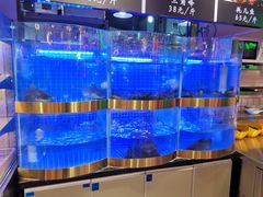 -蛙一刀·麻椒鱼火锅(金仙桥店)
