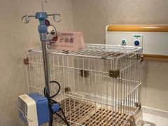 -宠爱国际动物医院·消化内科·心肾内科·ISFM猫友好(望京店)