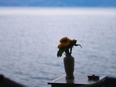 -抚仙湖禄充风景区