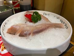 -大龙燚火锅(春熙店)