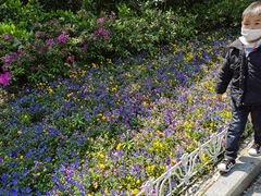 -西湖外事游船(花港观鱼码头)