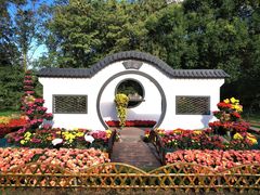 -上海共青森林公园