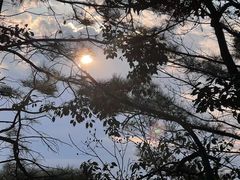 -雨花胜境