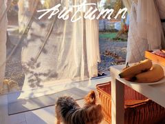 -安德鲁户外烧烤帐篷营地(马泉营店)