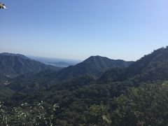 -大岭沟猕猴桃谷风景区