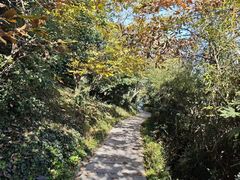 -天目湖涵田度假村