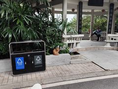 -广州市白云山风景名胜区