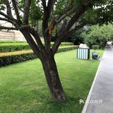 舍外