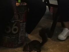 -MOJO密室逃脱(中街旗舰店)