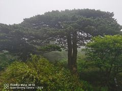 -三清山风景名胜区