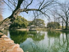 -共青国家森林公园-售票处