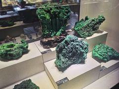 -河南自然博物馆