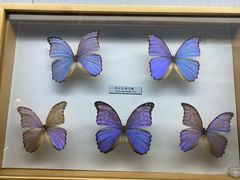 -青藏高原自然博物馆
