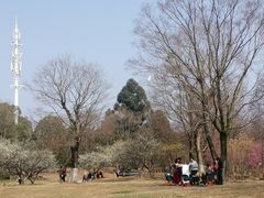 -秀丽东方