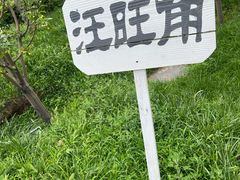 -观澜小洱海