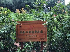 -中国茶叶博物馆(双峰馆区)
