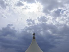 -新疆天山野生动物园