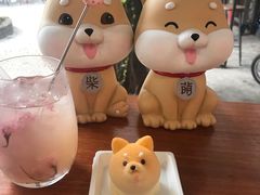 -柴犬高等学院·狗咖·柴犬售卖·宠物训练