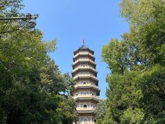 -灵谷景区