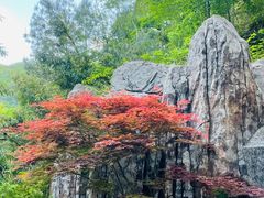-磐安十八涡风景区