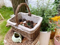 -0907餐厅(核桃园店)