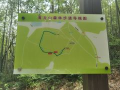 -青龙山国家森林公园