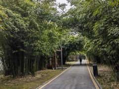 -花溪公园