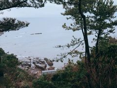-滨千鸟之汤 海舟