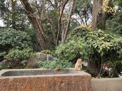 -龙华寺