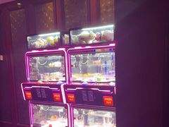 -海韵之星邮轮水会(明发商业广场店)