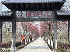 -合肥滨湖国家森林公园