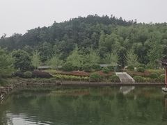 -冶父山国家森林公园
