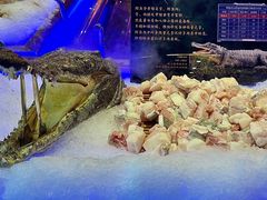 -九月海·海鲜自助(世纪东方店)
