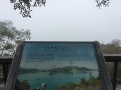 -金盆阿嬷香菇茶叶蛋(玄光店)