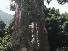 -青青世界