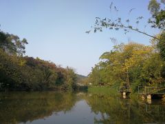 -老木棉·匠园
