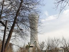 -上海滨江森林公园