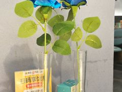 -雀蓝川菜(滨湖万象汇店)