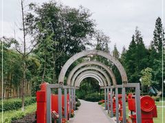 -成飞公园