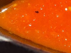 -园里火锅(仁和新城店)