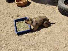 -泉州海丝野生动物世界